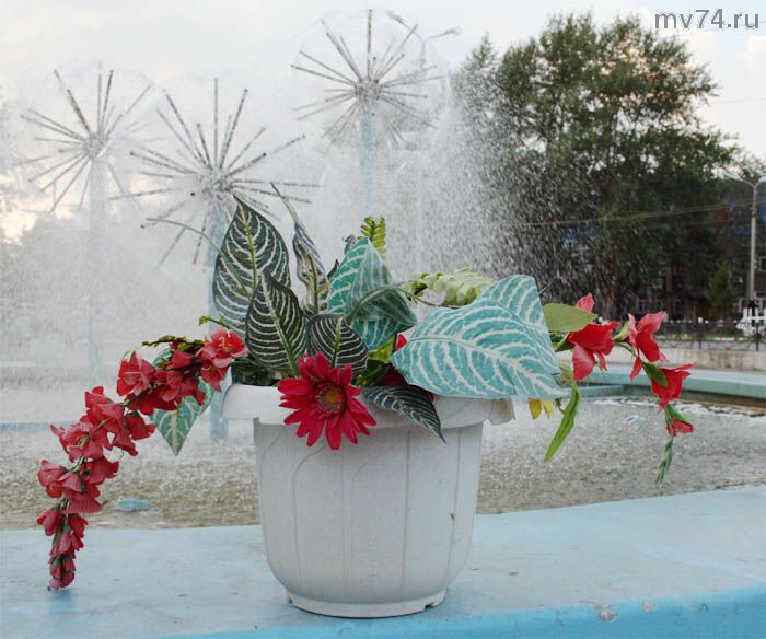 Цветы Челябинска